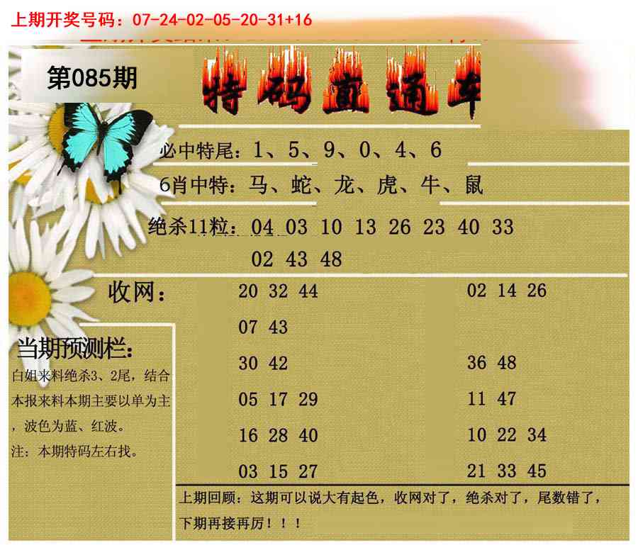 085期特码直通车[图]