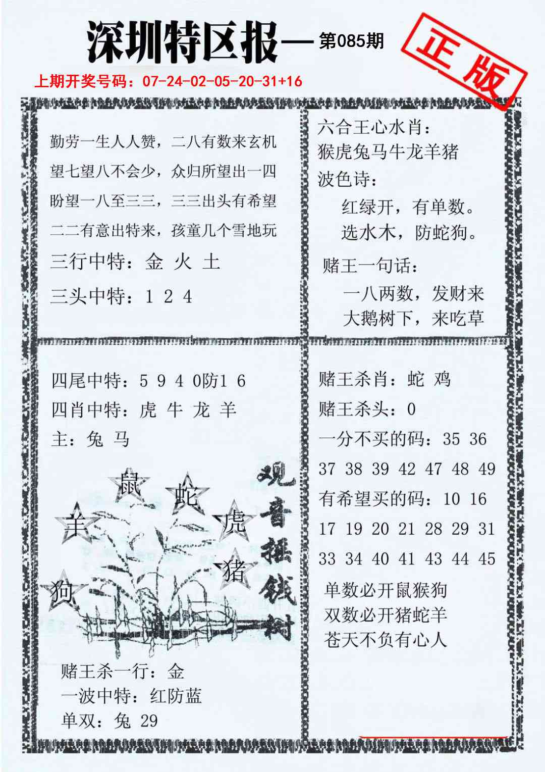 085期深圳特区报A[图]